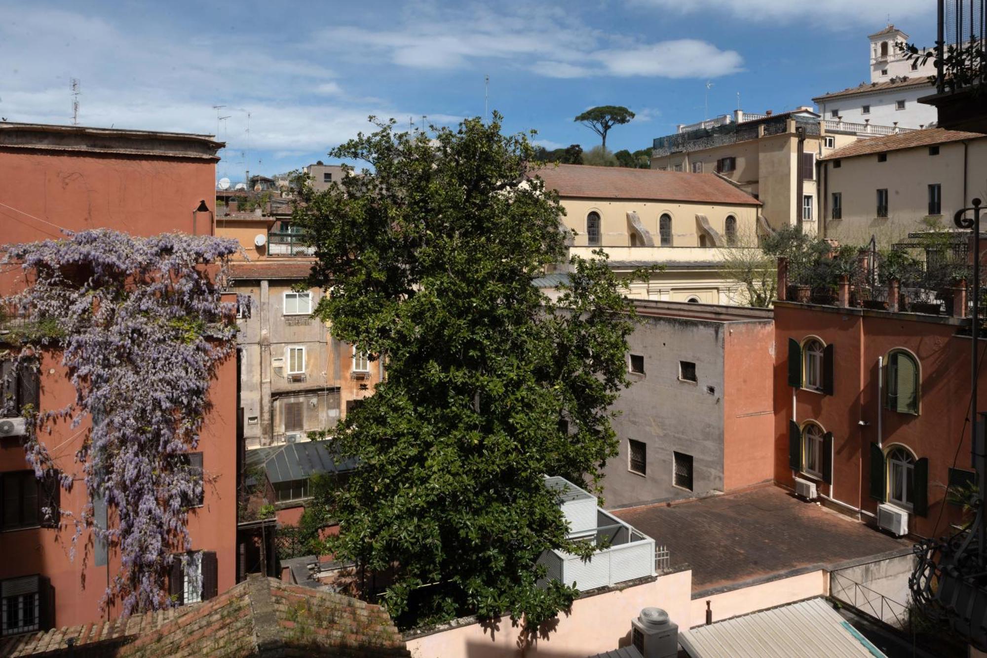 Agh Babuino — Foto 1